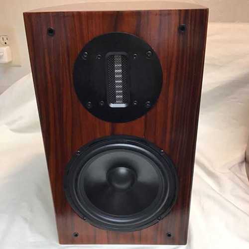 LSA Statement 1 Speakers in Rosewood